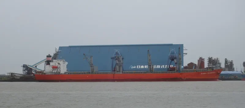 GLOBAL FUTURE Bulk Carrier IMO 9336385 photo 6