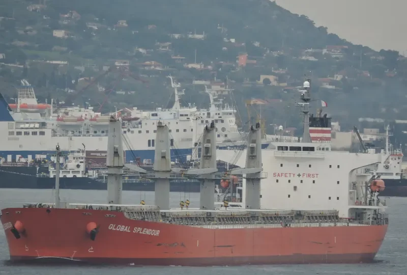 GLOBAL FUTURE Bulk Carrier IMO 9336385 photo 7