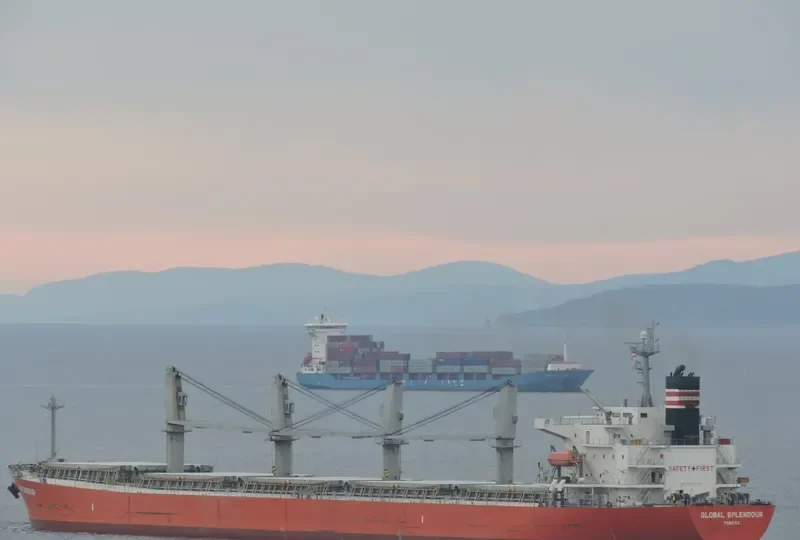 GLOBAL FUTURE Bulk Carrier IMO 9336385 photo 9