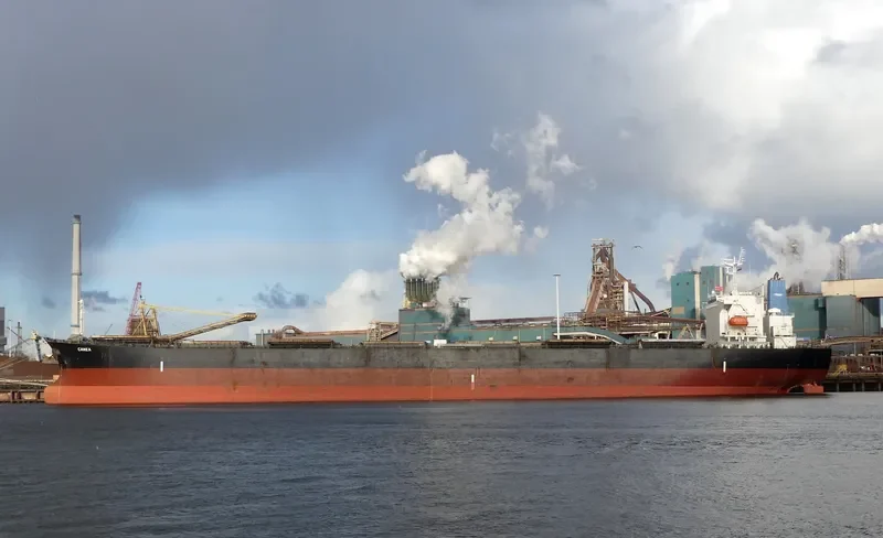 CANEA Bulk Carrier IMO 9336608