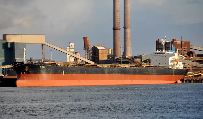 CANEA Bulk Carrier IMO 9336608 photo 2
