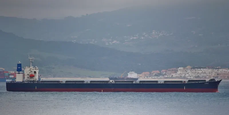CANEA Bulk Carrier IMO 9336608 photo 4