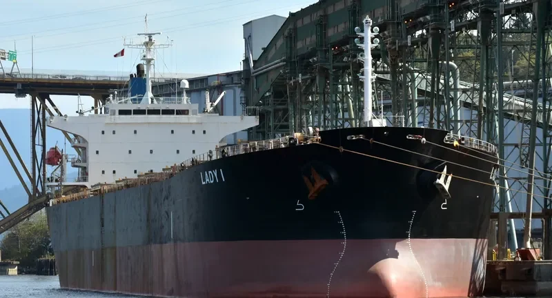 LADY I Bulk Carrier IMO 9336610 photo 3