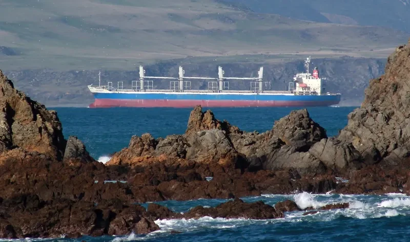 ALPHA BULKER Bulk Carrier IMO 9336763 photo 6