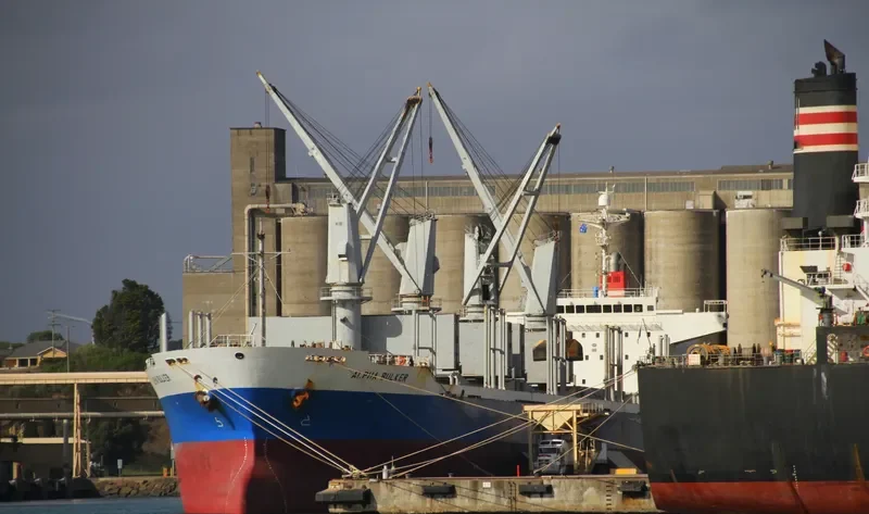 ALPHA BULKER Bulk Carrier IMO 9336763 photo 8