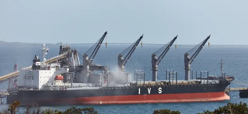 IVS KINGBIRD Bulk Carrier IMO 9336787