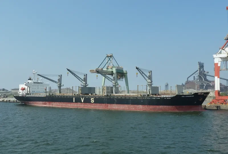 IVS KINGBIRD Bulk Carrier IMO 9336787 photo 5