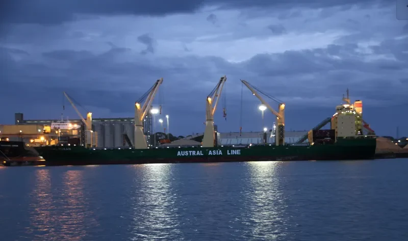 IVS KINGBIRD Bulk Carrier IMO 9336787 photo 8