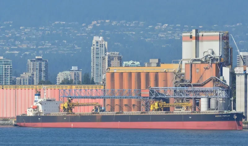 ROSCO POPLAR Bulk Carrier IMO 9336878 photo 10