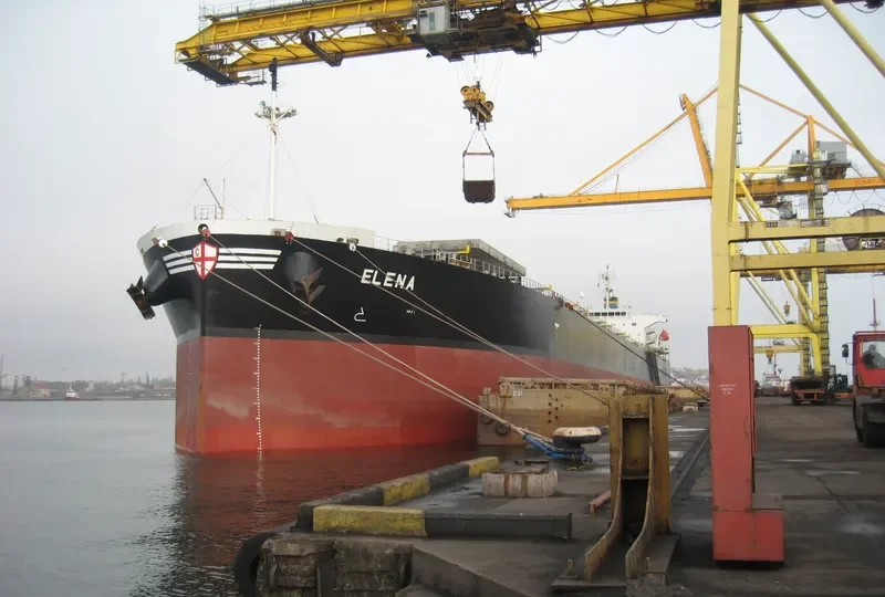 ELENA Bulk Carrier IMO 9336880 photo 7