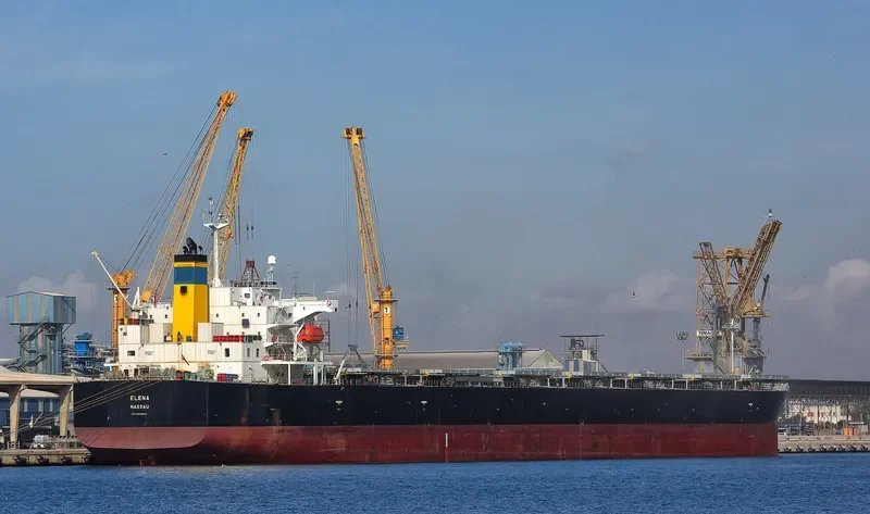 ELENA Bulk Carrier IMO 9336880 photo 10