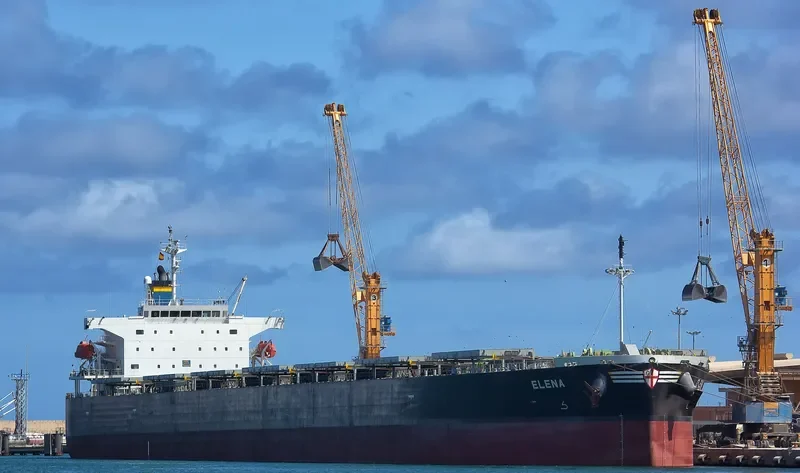 ELENA Bulk Carrier IMO 9336880 photo 30