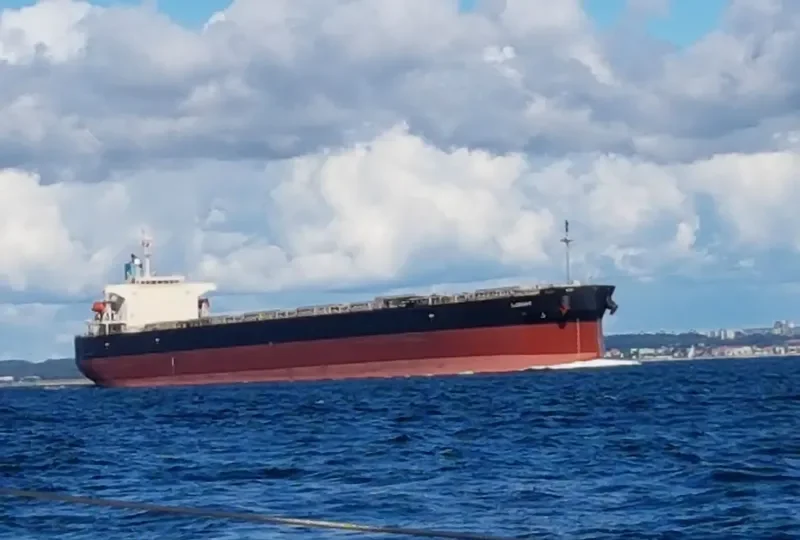 LORIENT Bulk Carrier IMO 9336892 photo 2