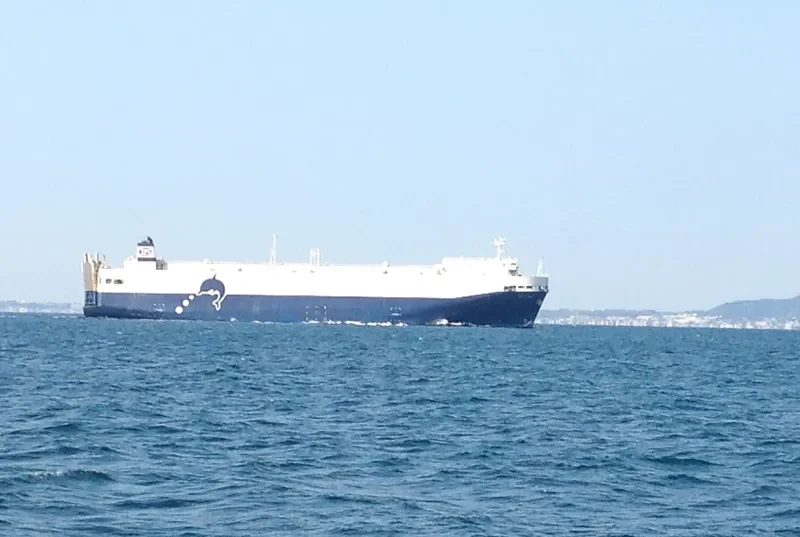 TOYOFUJI MARU General Cargo IMO 9336919 photo 8