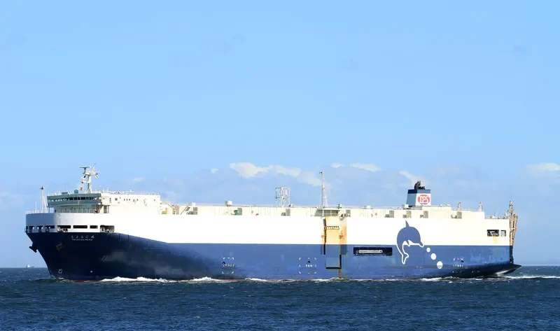 TOYOFUJI MARU General Cargo IMO 9336919 photo 10