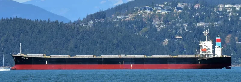 CORAL RING Bulk Carrier IMO 9337092 photo 3