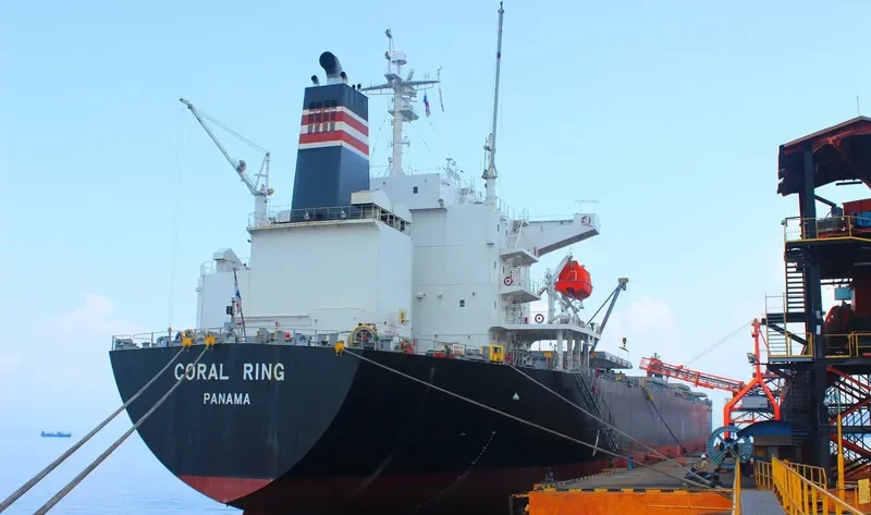 CORAL RING Bulk Carrier IMO 9337092 photo 8