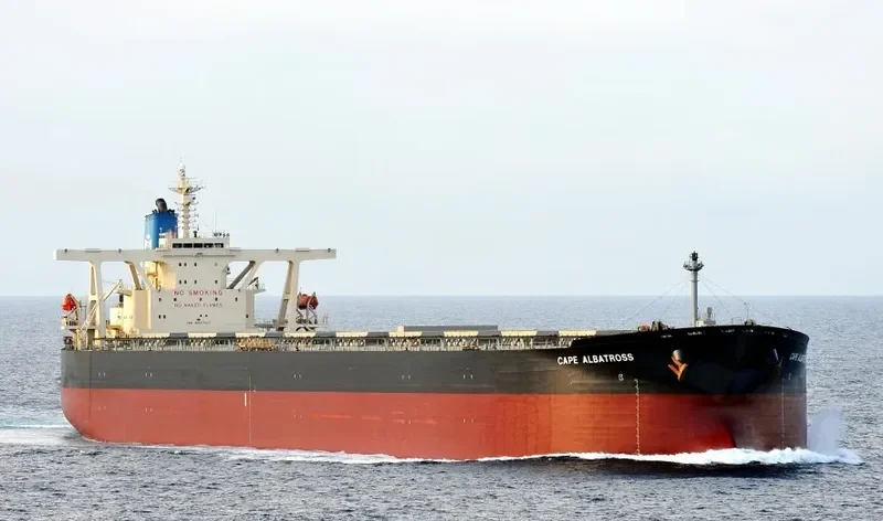 MOUNT KINABALU Bulk Carrier IMO 9337107 photo 3