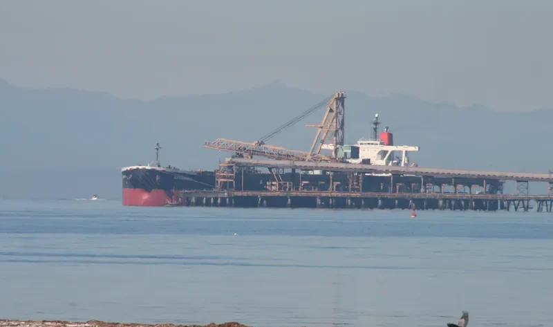 WAKASHIO Bulk Carrier IMO 9337119 photo 4