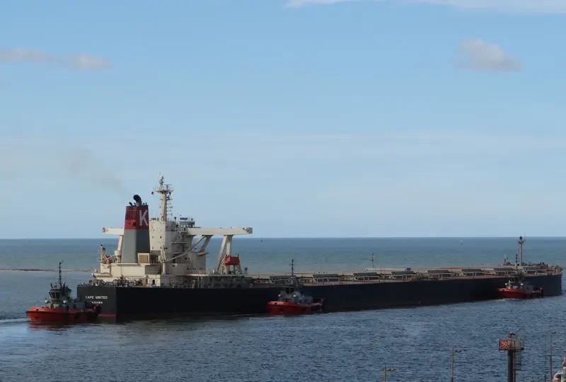 STAR UNITED Bulk Carrier IMO 9337121 photo 6