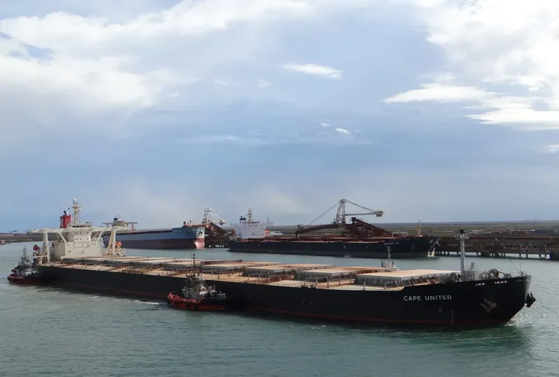 STAR UNITED Bulk Carrier IMO 9337121 photo 8