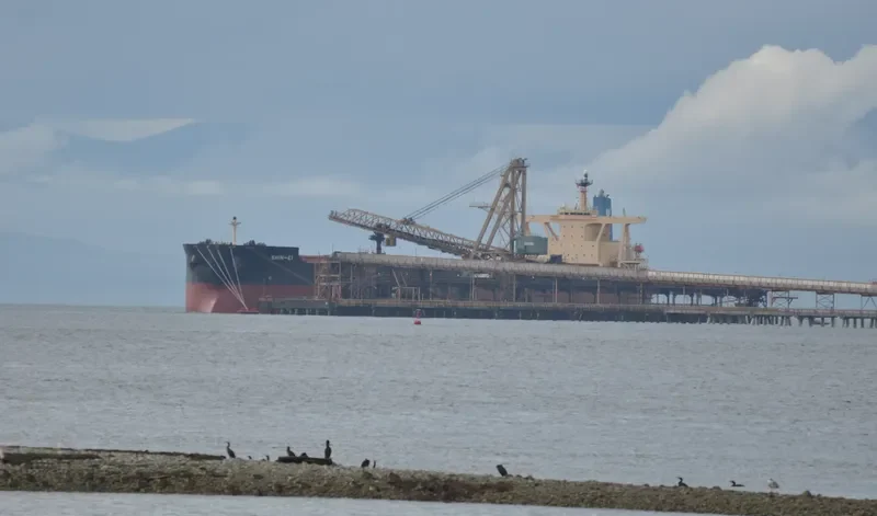 WEN CHANG STAR Bulk Carrier IMO 9337145 photo 5