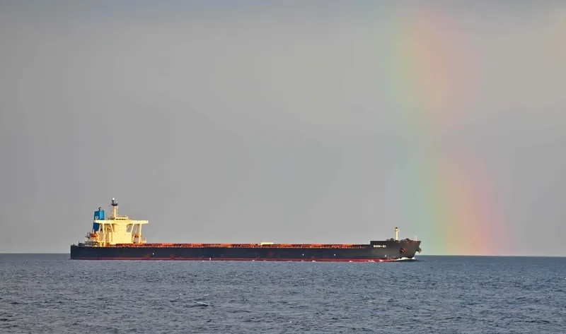 WEN CHANG STAR Bulk Carrier IMO 9337145 photo 6