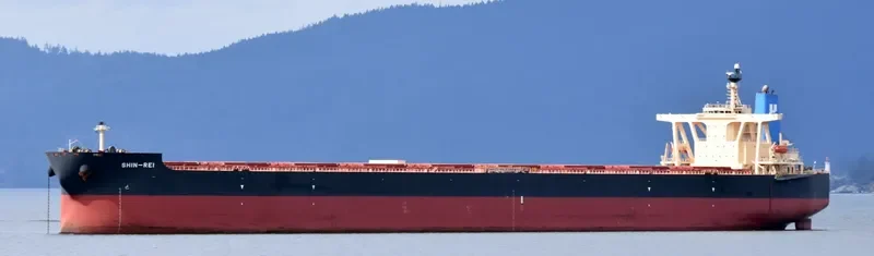 SIKAMIA Bulk Carrier IMO 9337169 photo 6