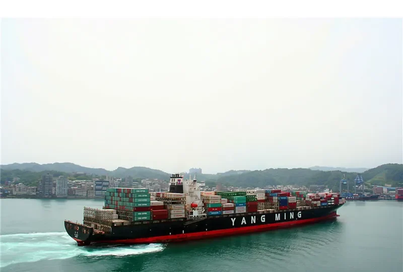 MSC UBERTY Container Ship IMO 9337444 photo 2