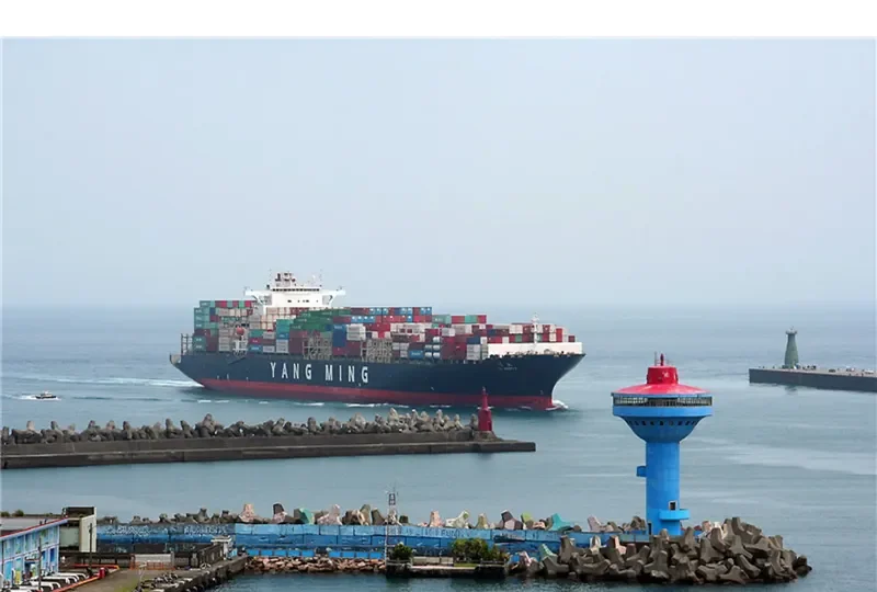 MSC UBERTY Container Ship IMO 9337444 photo 3