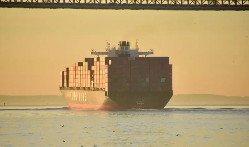 YM UTILITY Container Ship IMO 9337470 photo 3