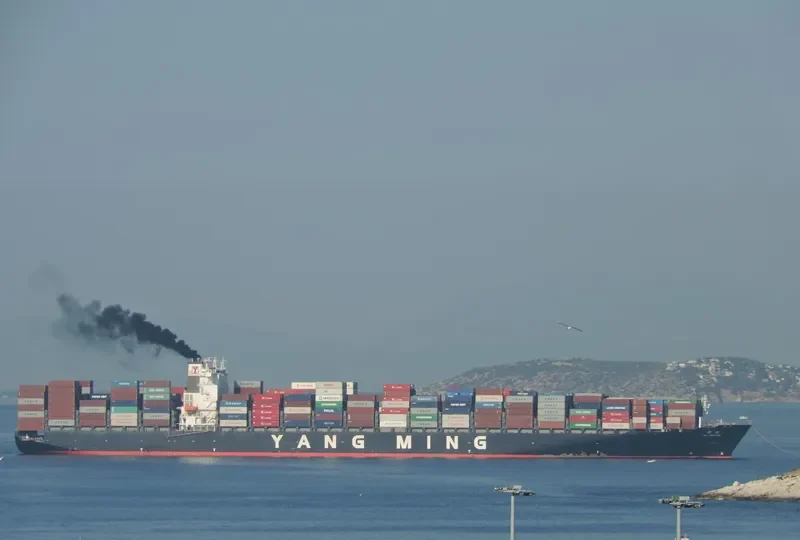 YM UNIFORM Container Ship IMO 9337482 photo 9