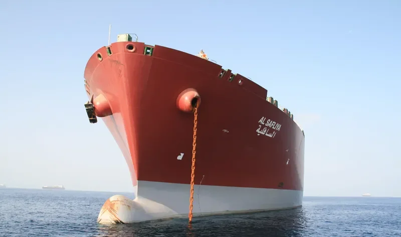 AL SAFLIYA General Cargo IMO 9337963 photo 10