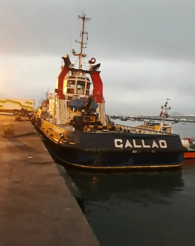 VB GLORIOSO General Cargo IMO 9338163