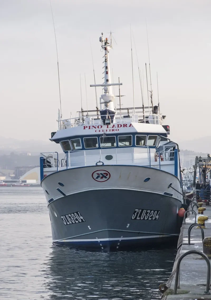 PINO LADRA General Cargo IMO 9338436
