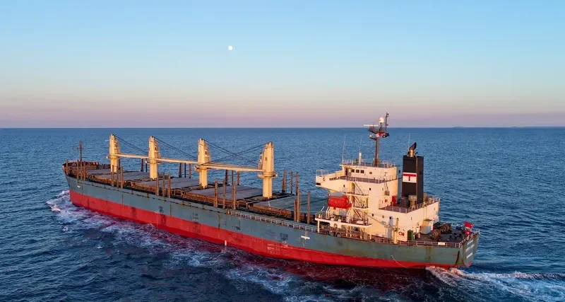 BLUE BALESTIER Bulk Carrier IMO 9338539