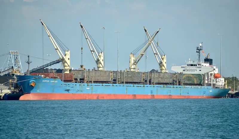 BLUE BALESTIER Bulk Carrier IMO 9338539 photo 4