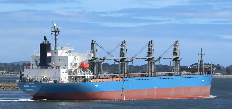 BLUE BALESTIER Bulk Carrier IMO 9338539 photo 5