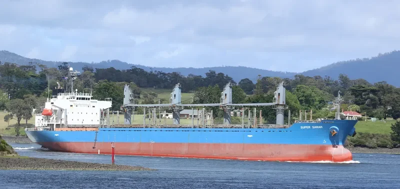 BLUE BALESTIER Bulk Carrier IMO 9338539 photo 6