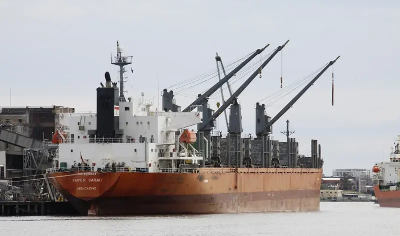 BLUE BALESTIER Bulk Carrier IMO 9338539 photo 7