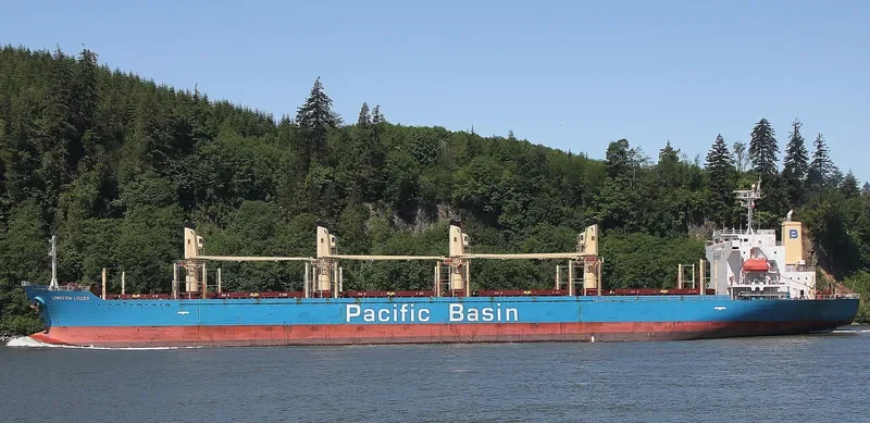 LONGVIEW LOGGER Bulk Carrier IMO 9338541
