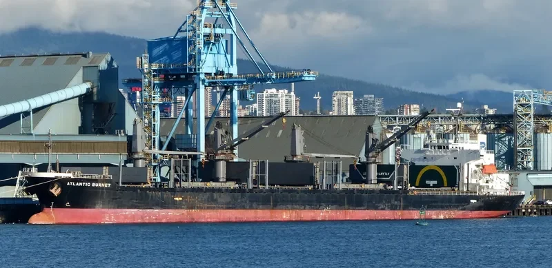 LONGVIEW LOGGER Bulk Carrier IMO 9338541 photo 7
