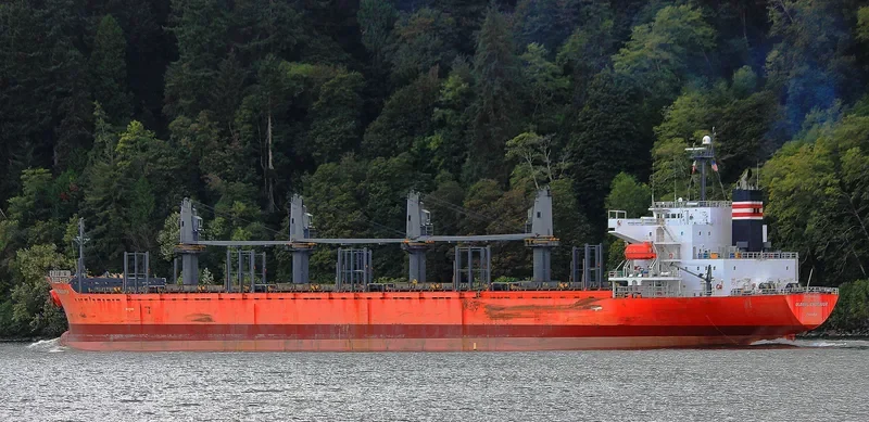 HAI PHUONG STAR Bulk Carrier IMO 9338553 photo 6