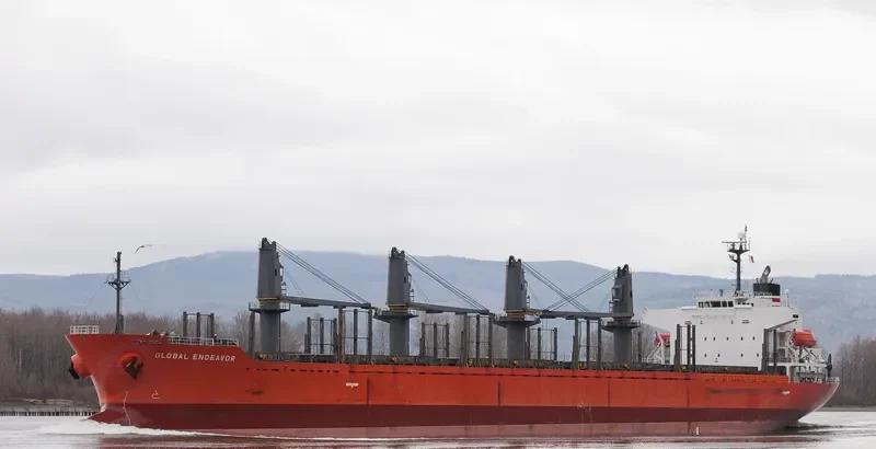 HAI PHUONG STAR Bulk Carrier IMO 9338553 photo 9