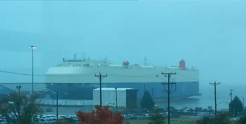 SWALLOW ACE General Cargo IMO 9338620 photo 5