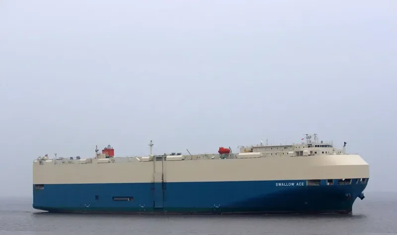 SWALLOW ACE General Cargo IMO 9338620 photo 6