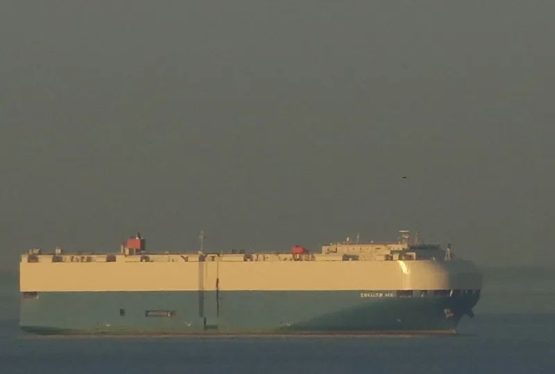 SWALLOW ACE General Cargo IMO 9338620 photo 7