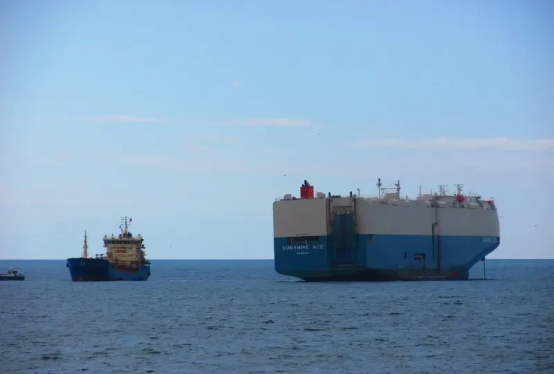SUNSHINE ACE General Cargo IMO 9338852