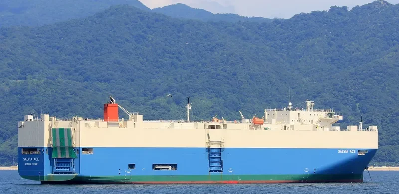 SALVIA ACE General Cargo IMO 9338876 photo 2