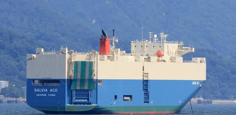 SALVIA ACE General Cargo IMO 9338876 photo 3